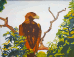 Walnut Creek Mother Eagle